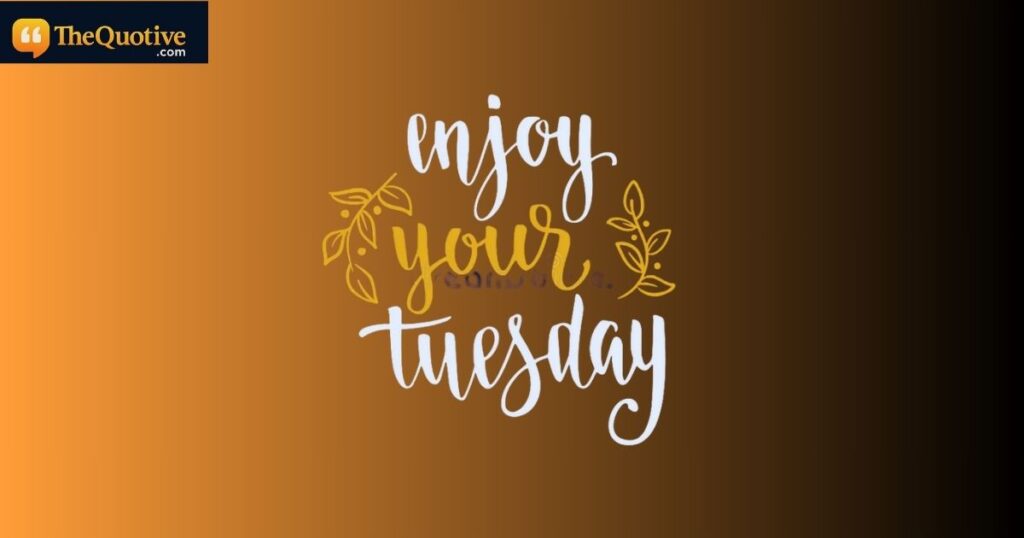 Tuesday Motivational Quotes Funny