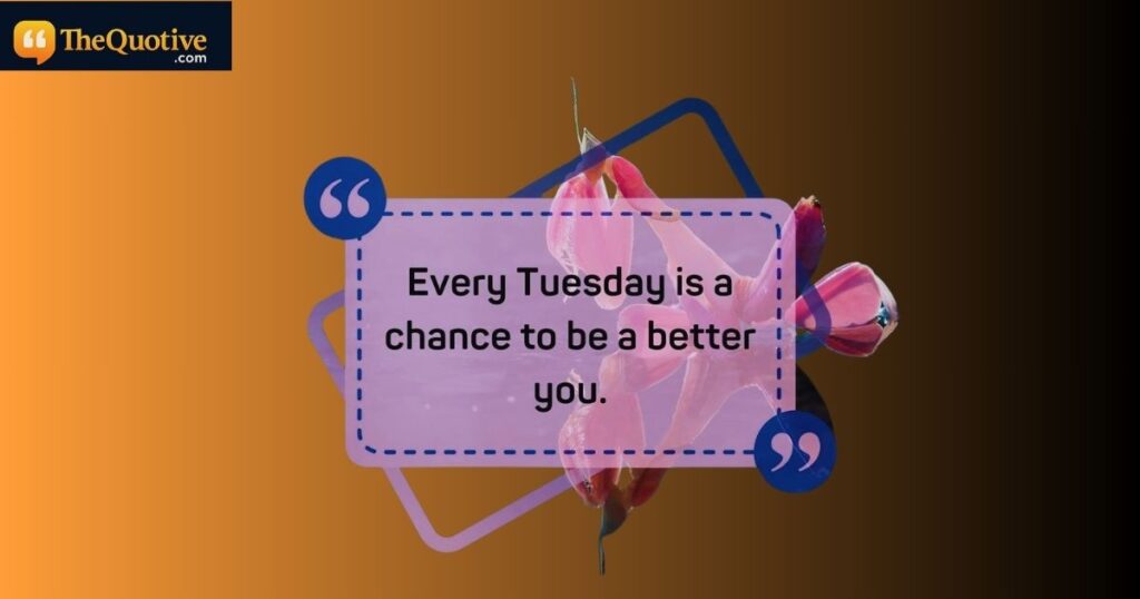 happy tuesday motivation quotes