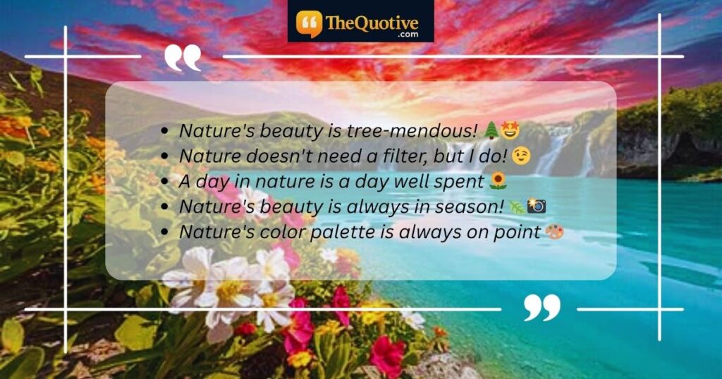 Best Nature Bio for Instagram