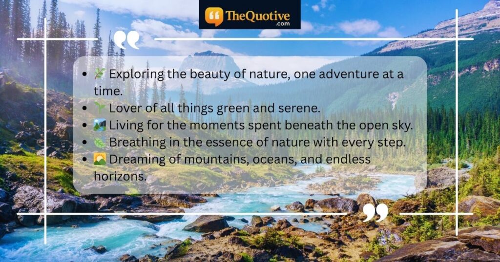 Inspiring Instagram Bio for Nature Lover
