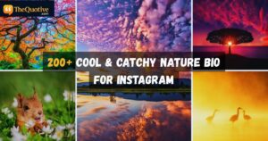 Nature Bio for Instagram