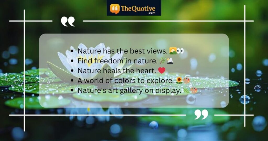Short Nature Bios for Instagram