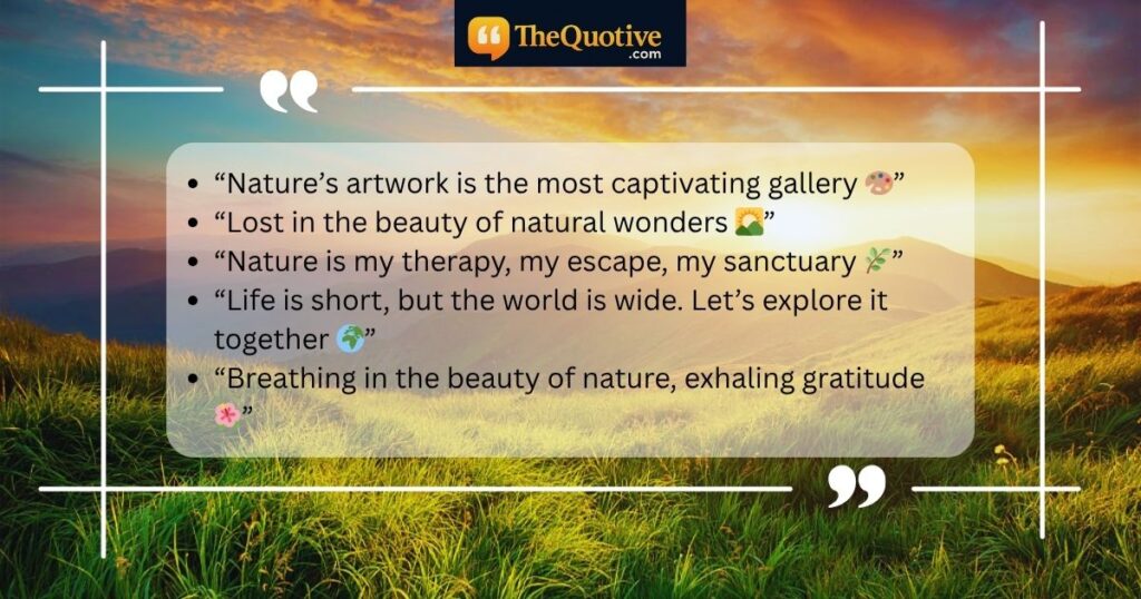 Top Instagram Bios & Captions for Nature