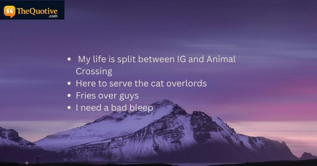 Funny Aesthetic Bio for Instagram