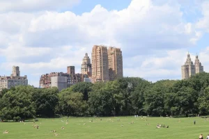 How to Prepare for a Summer Vacation in New York
